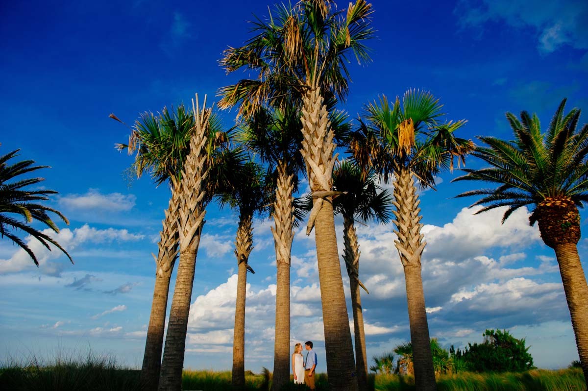 artistic portrait of couple with palm trees georgia golden isles