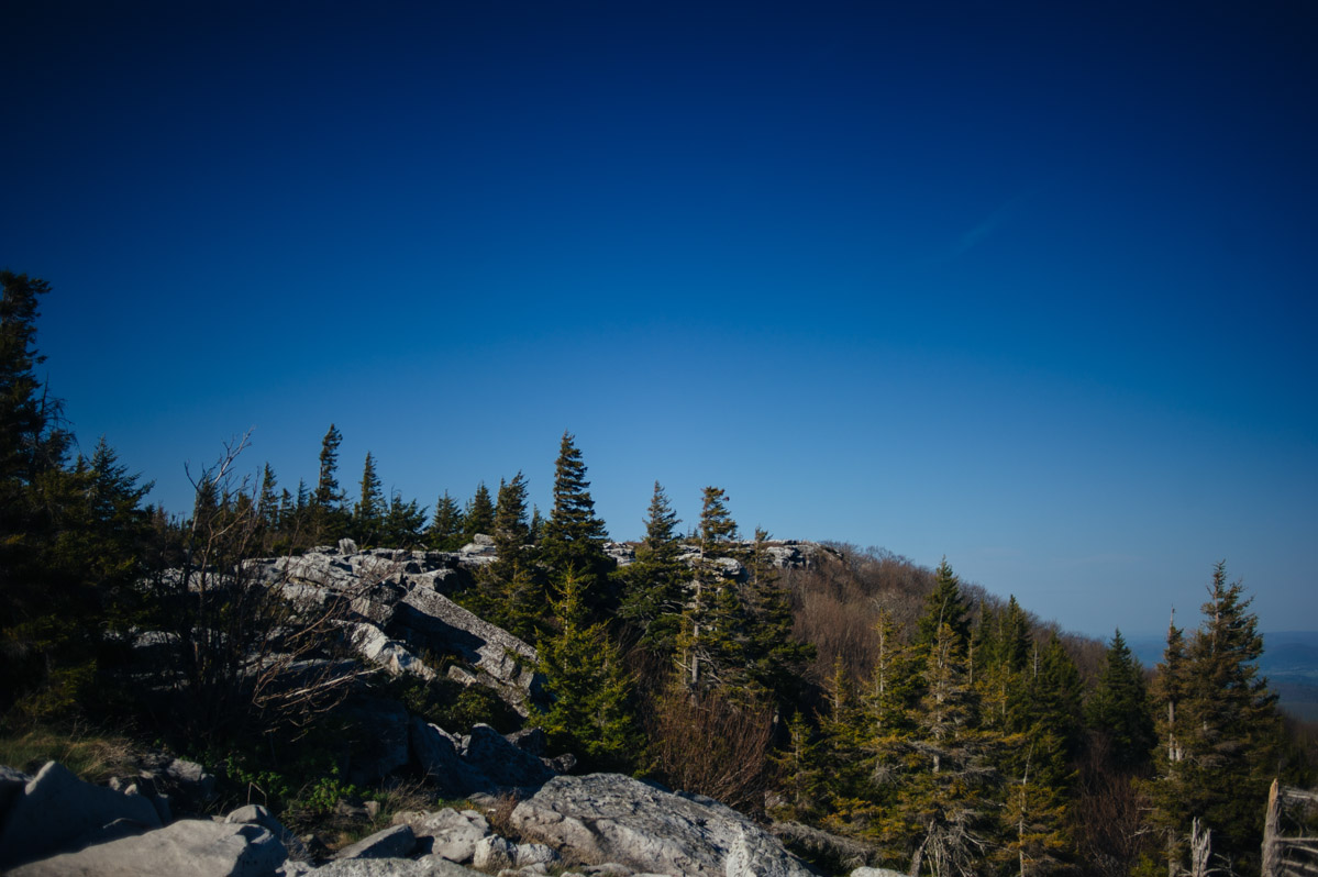 dolly sods wilderness bear rocks west virginia landscape photography by the oberports