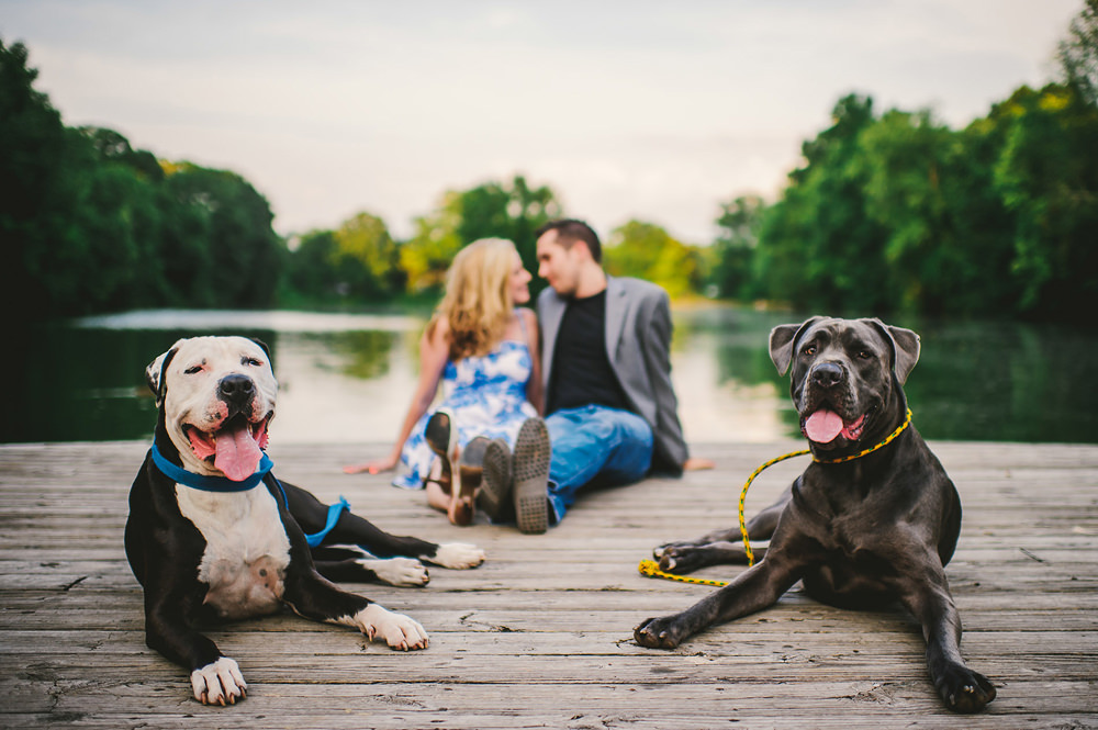 Couple sits with each other on a dock while their two dogs lay in front.