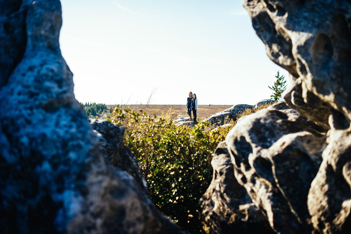 scenic portraits in west virginia dolly sods
