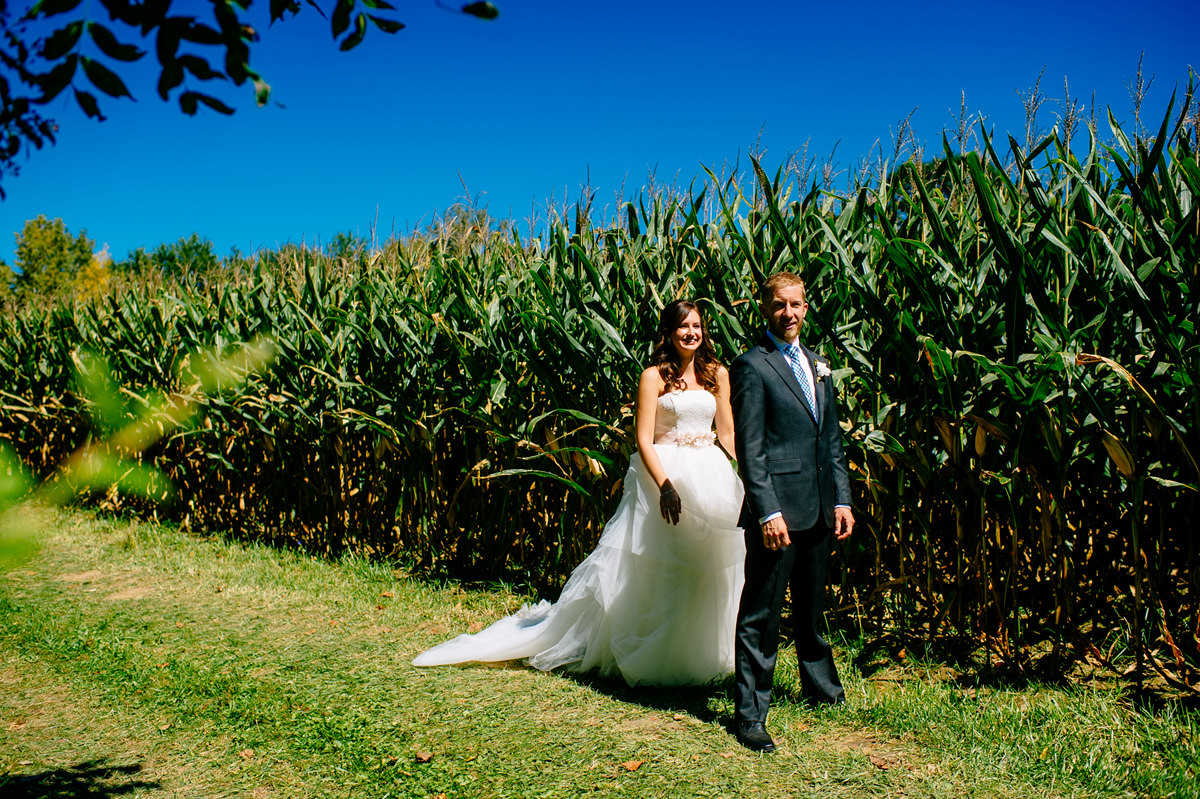 first look by a cornfield