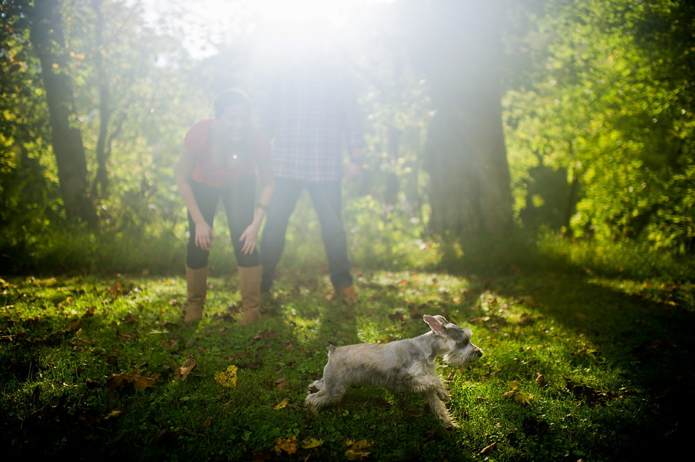 tips for including dogs in your engagement shoot