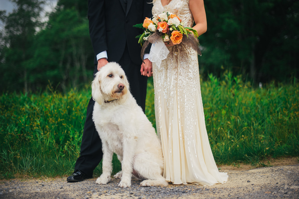 wedding day portrait with dog