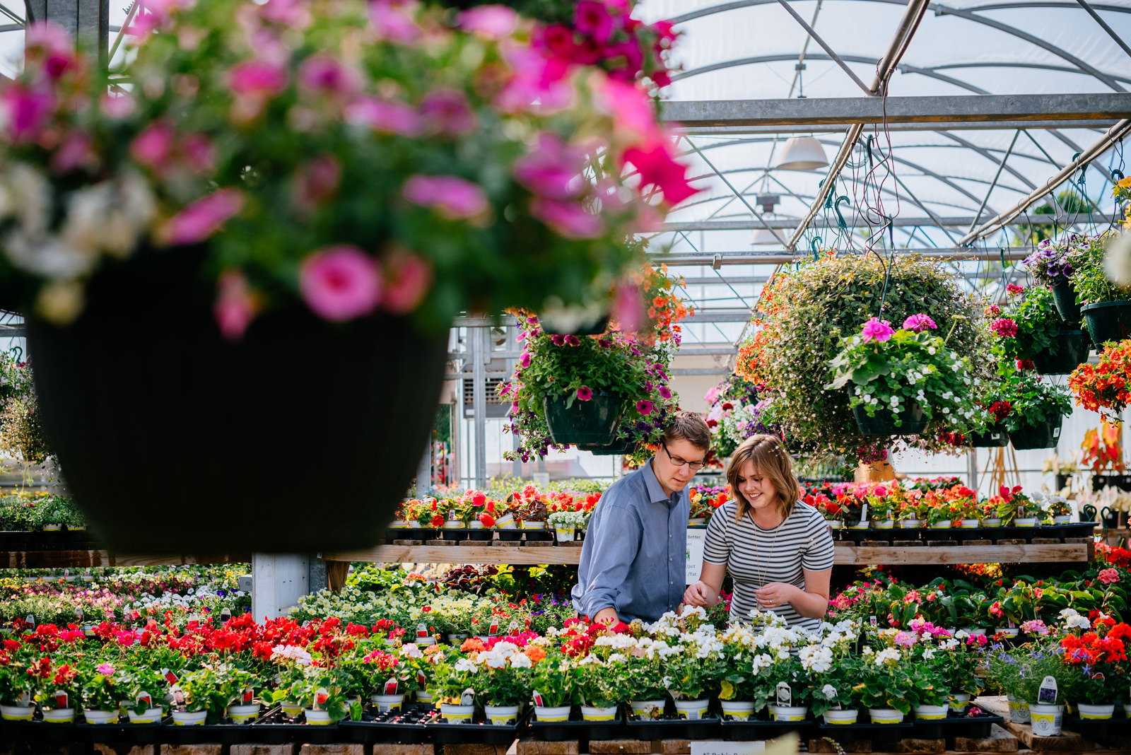 browing flowers greenhouse engagement photos