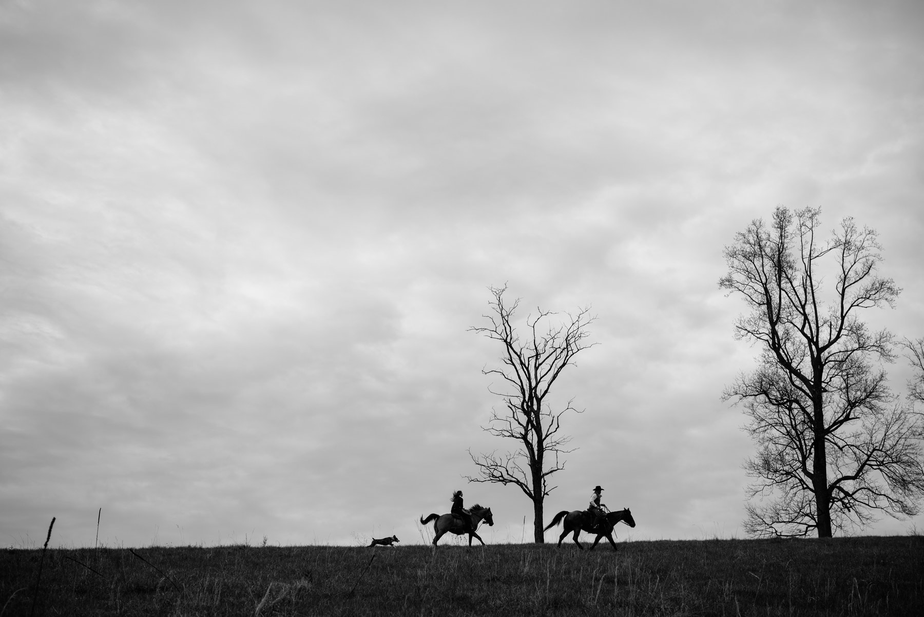 lexington virginia engagement session with horses