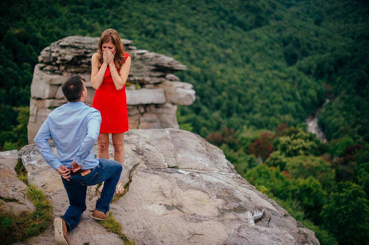 overlook proposal photography by the oberports