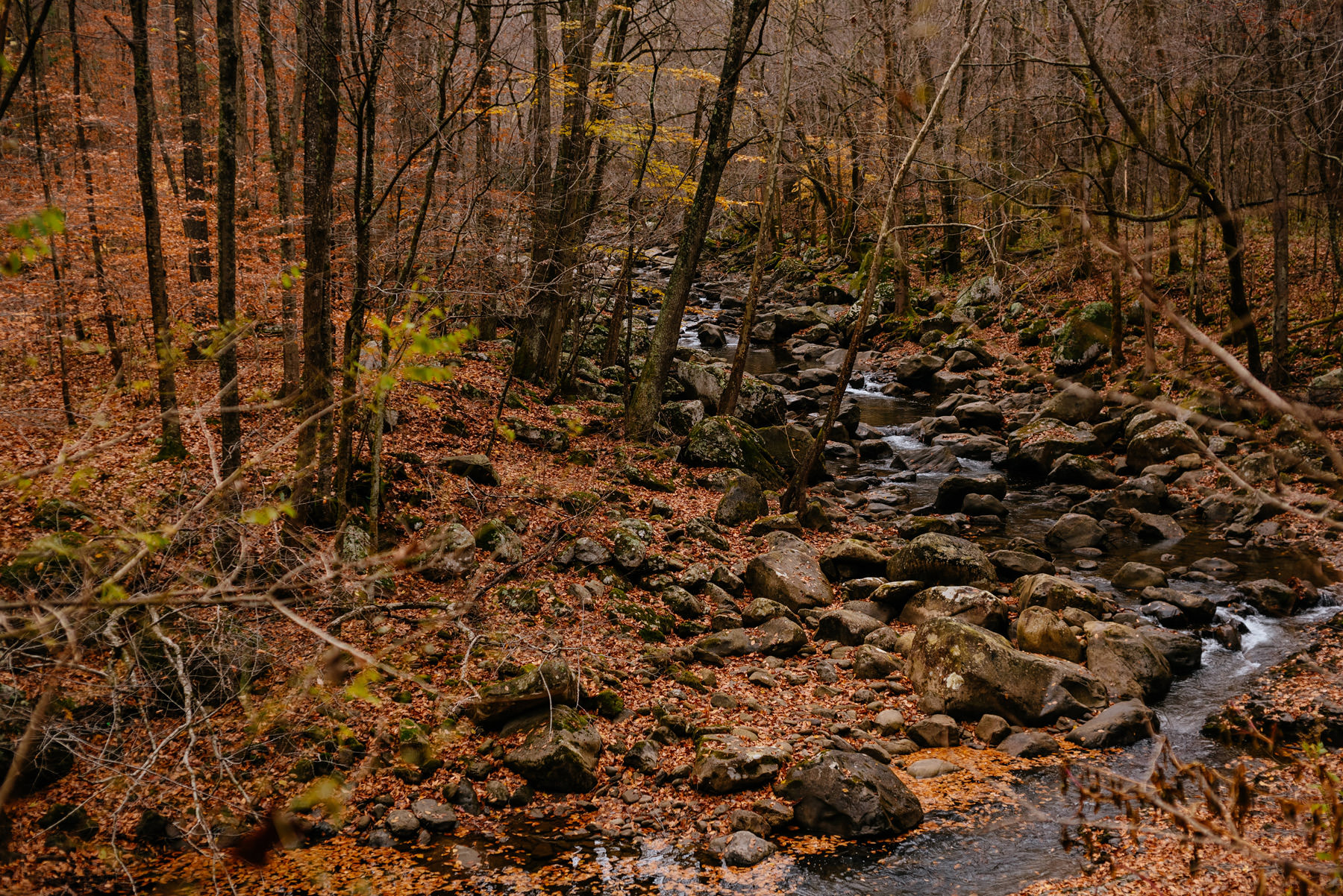 glade creek during fall wv