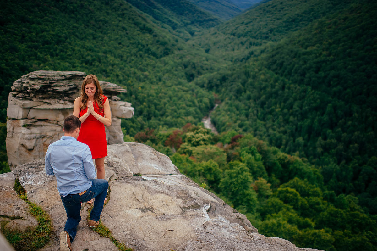 proposal photography by pittsburgh photographers the oberports