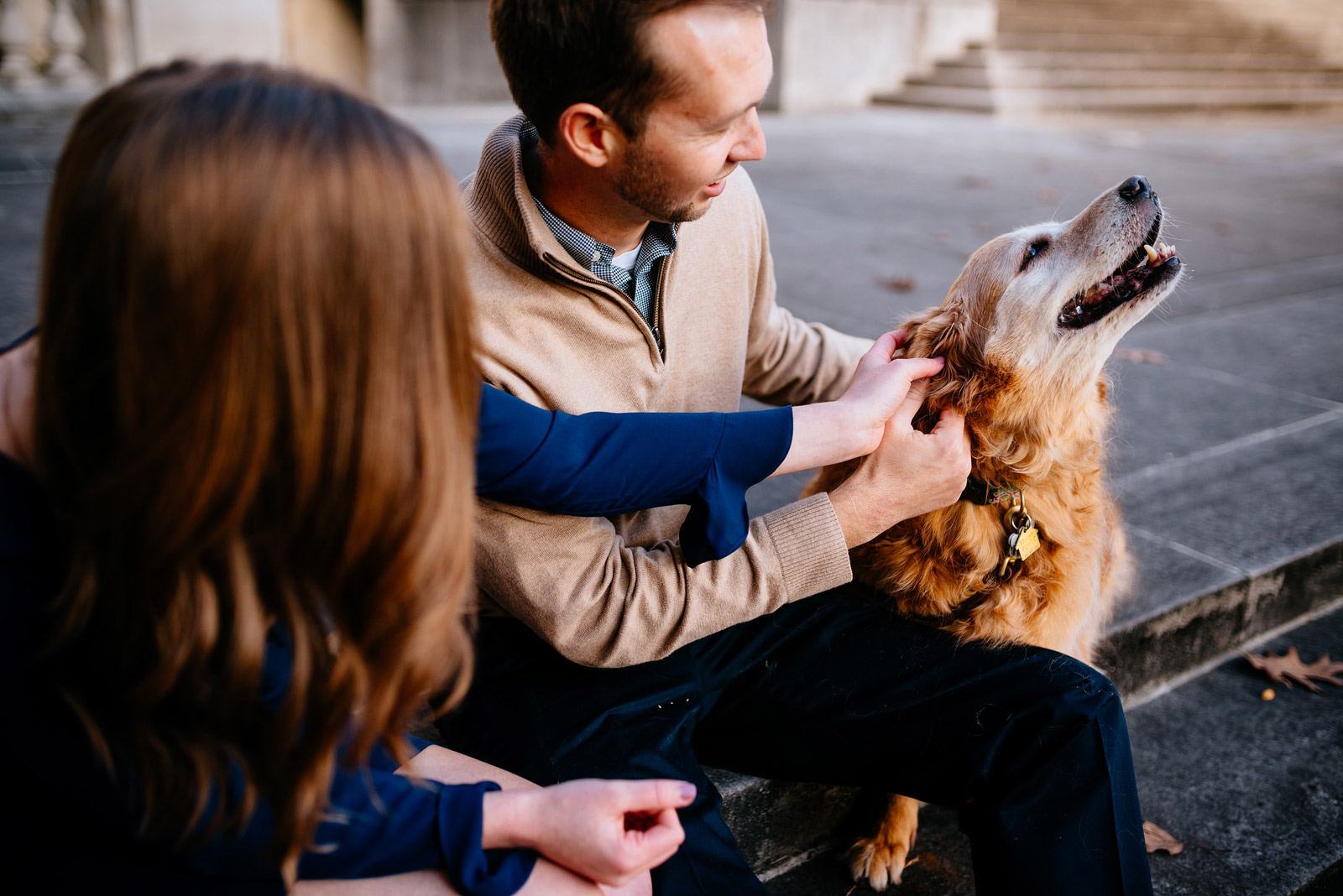 engagement sessions with dogs
