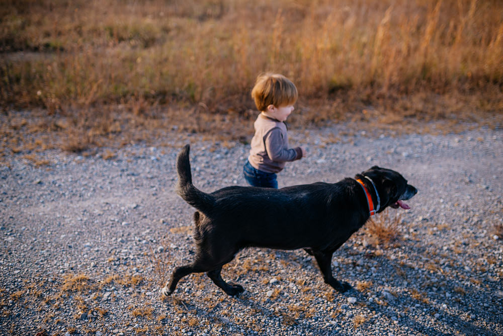 toddler with his best friend the dog