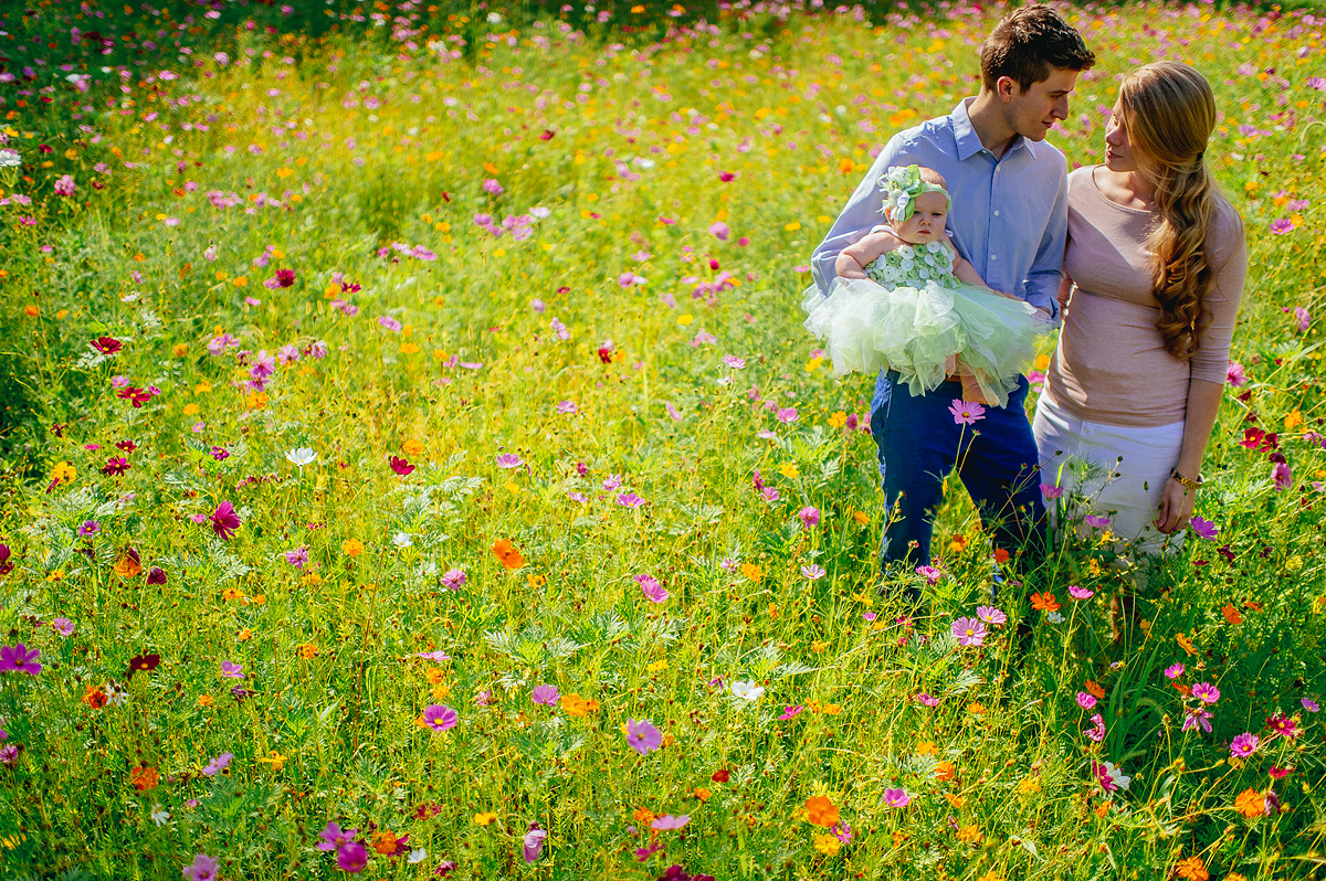 family portraits with baby in field of flowers by pittsburgh photographers the oberports