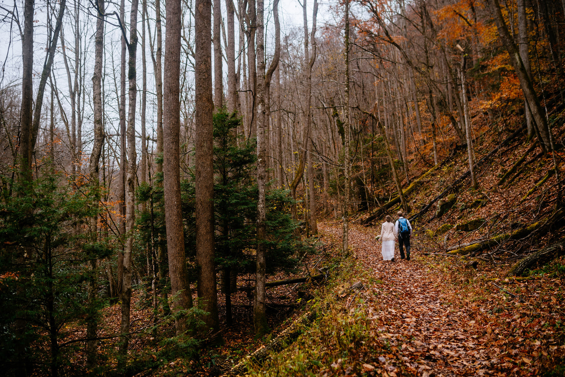 outdoor hiking elopement glade springs wv