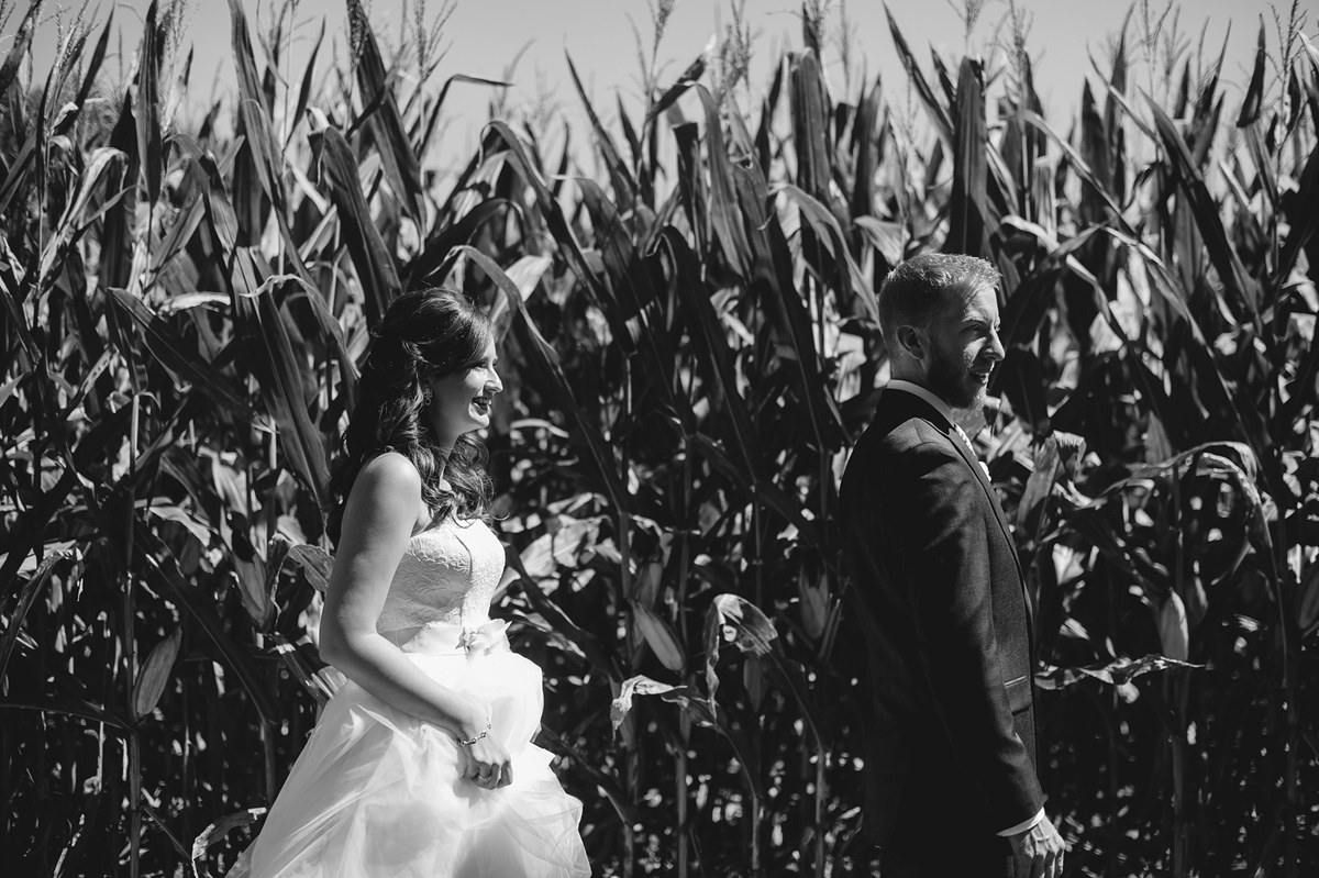 first look by a cornfield