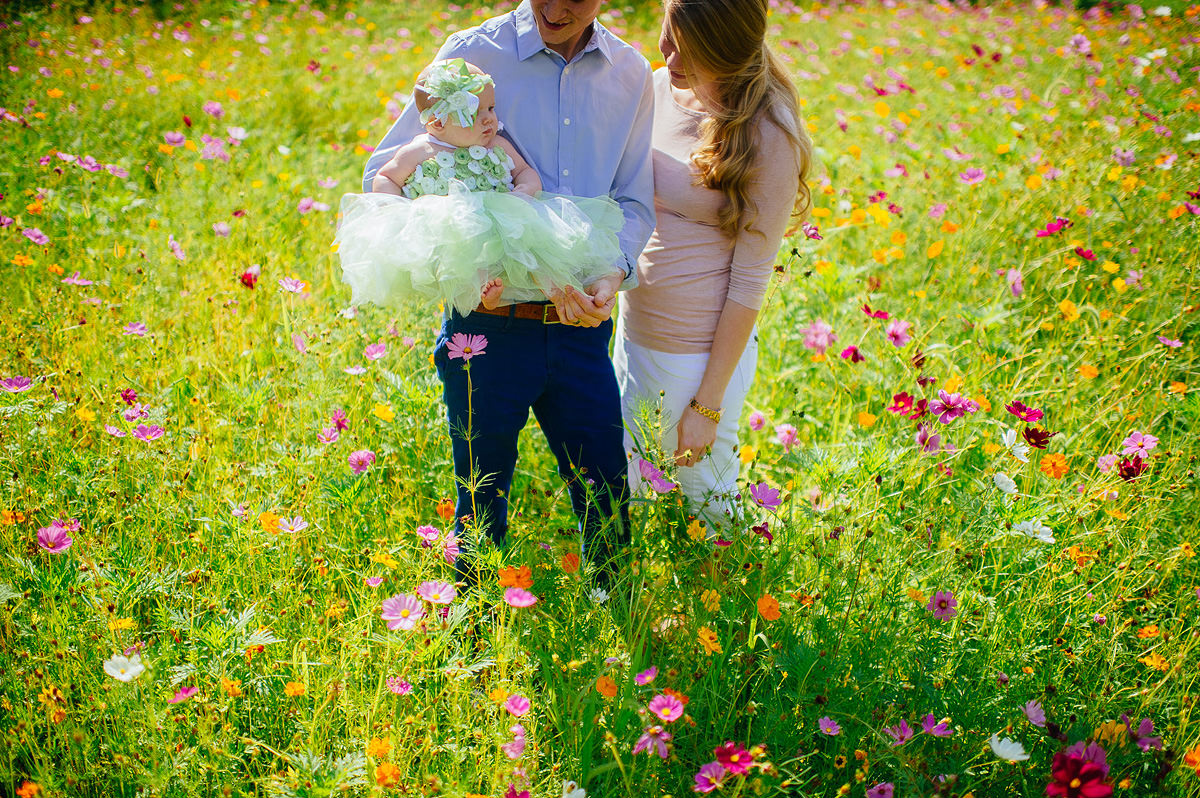 family portraits with baby in field of flowers by pittsburgh photographers the oberports