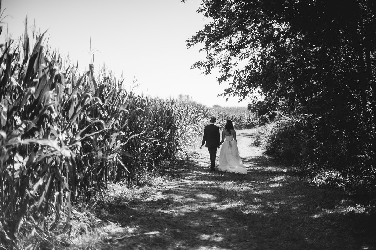 bride and groom walking next to cornfield