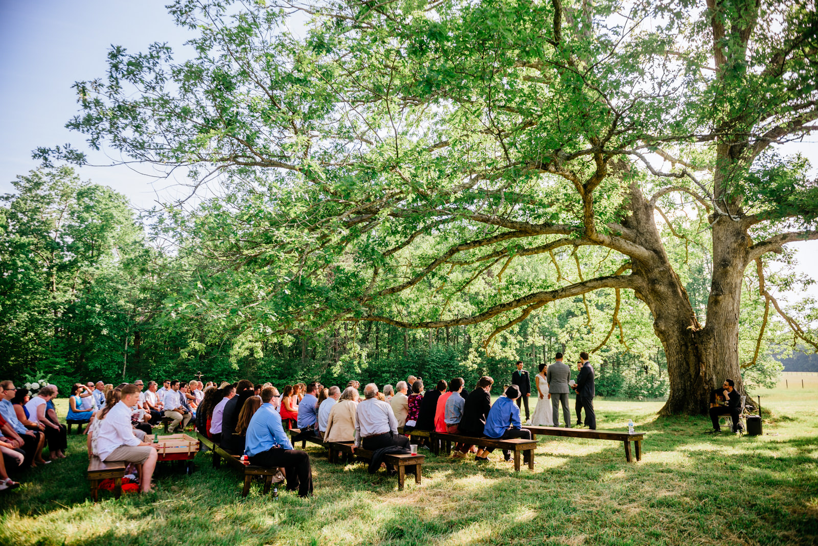 ceremony under white oak tree gaines estate fayetteville wv wedding