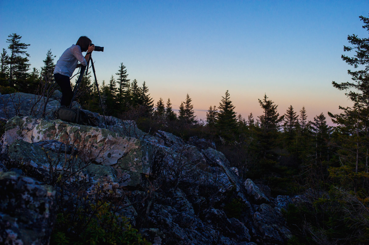 taking landscape photos at dolly sods wilderness wv