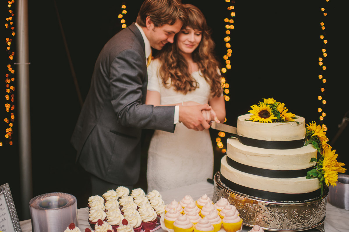 bride groom cutting cake