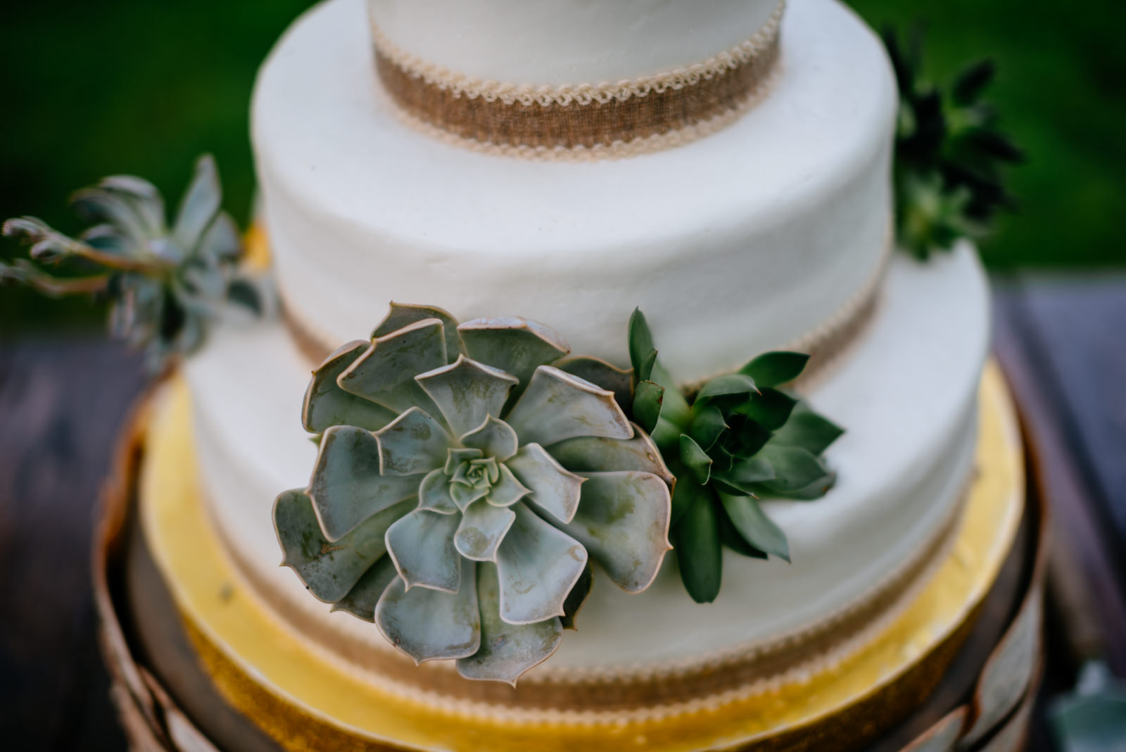 wedding cake with succulents cakes by liza