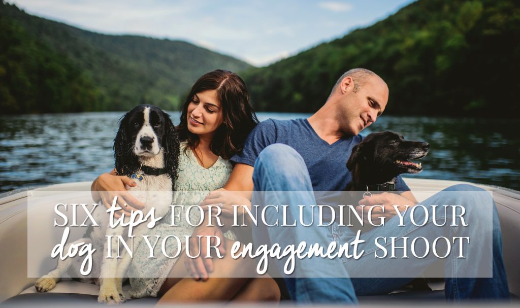 tips for engagement sessions with dogs