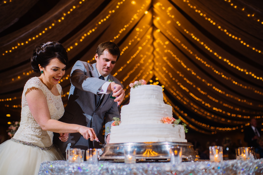 bride groom cutting cake glessner ballroom oglebay wedding moments by wv photographers the oberports