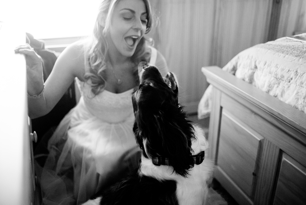 bride with dog on wedding day