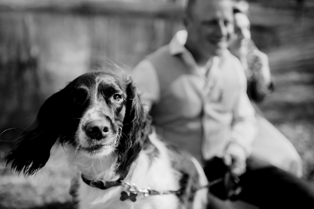 wedding day photos with dog