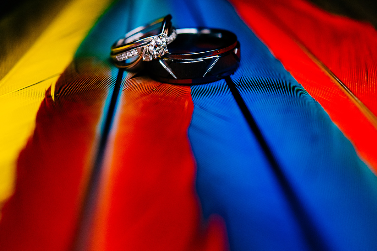 ring shot with parrot feathers by the oberports