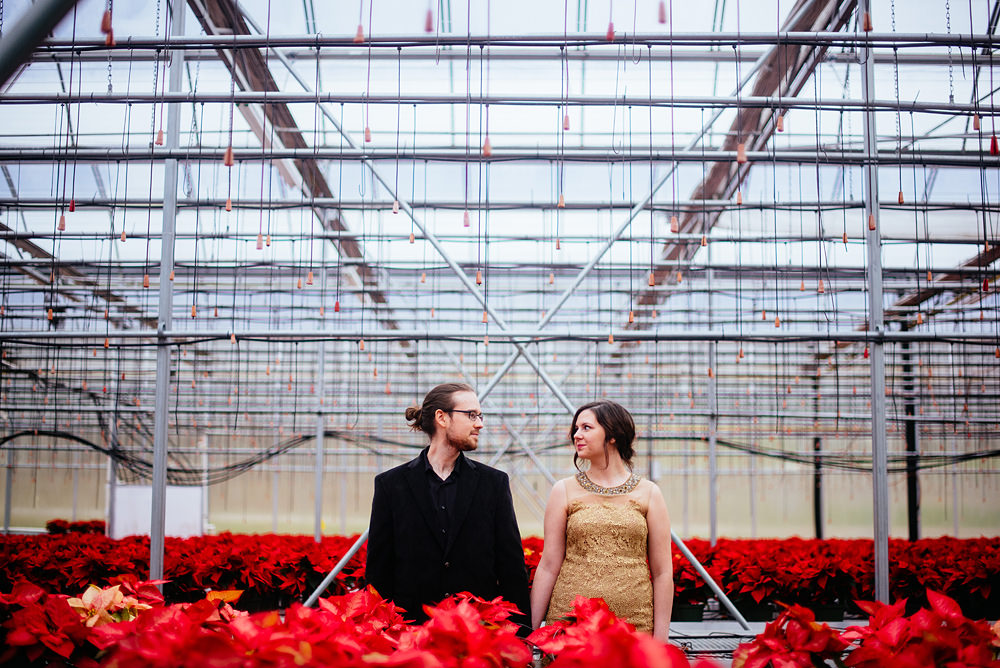 poinsettia greenhouse holiday engagement