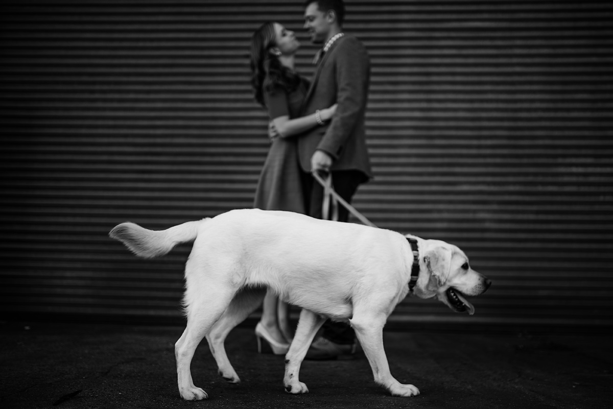charleston wv engagement with dog