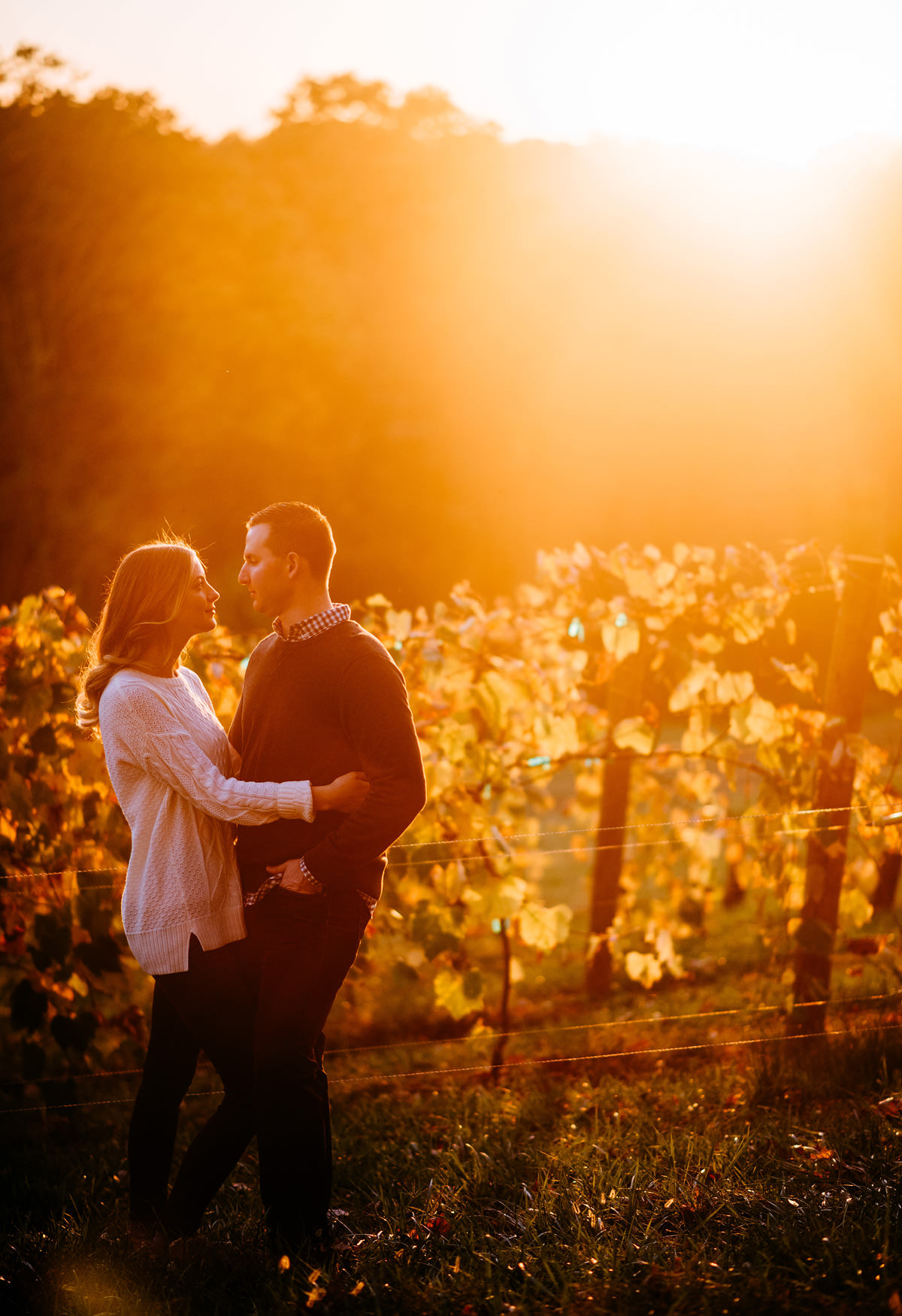 vineyard engagement shoot in ohio by wv photographers the oberports
