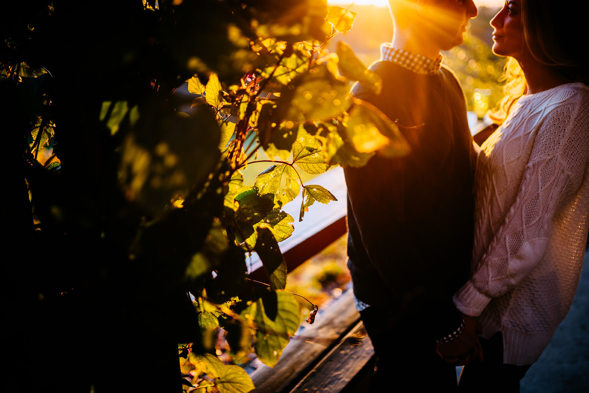 golden hour engagement portraits at a vineyard