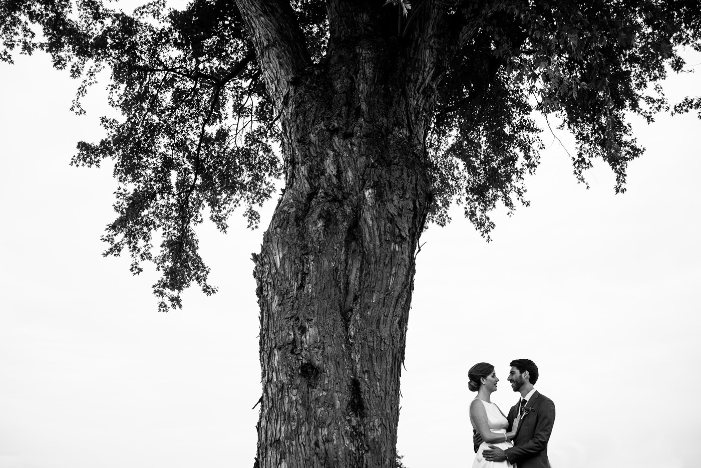bride and groom artistic photo under a tree