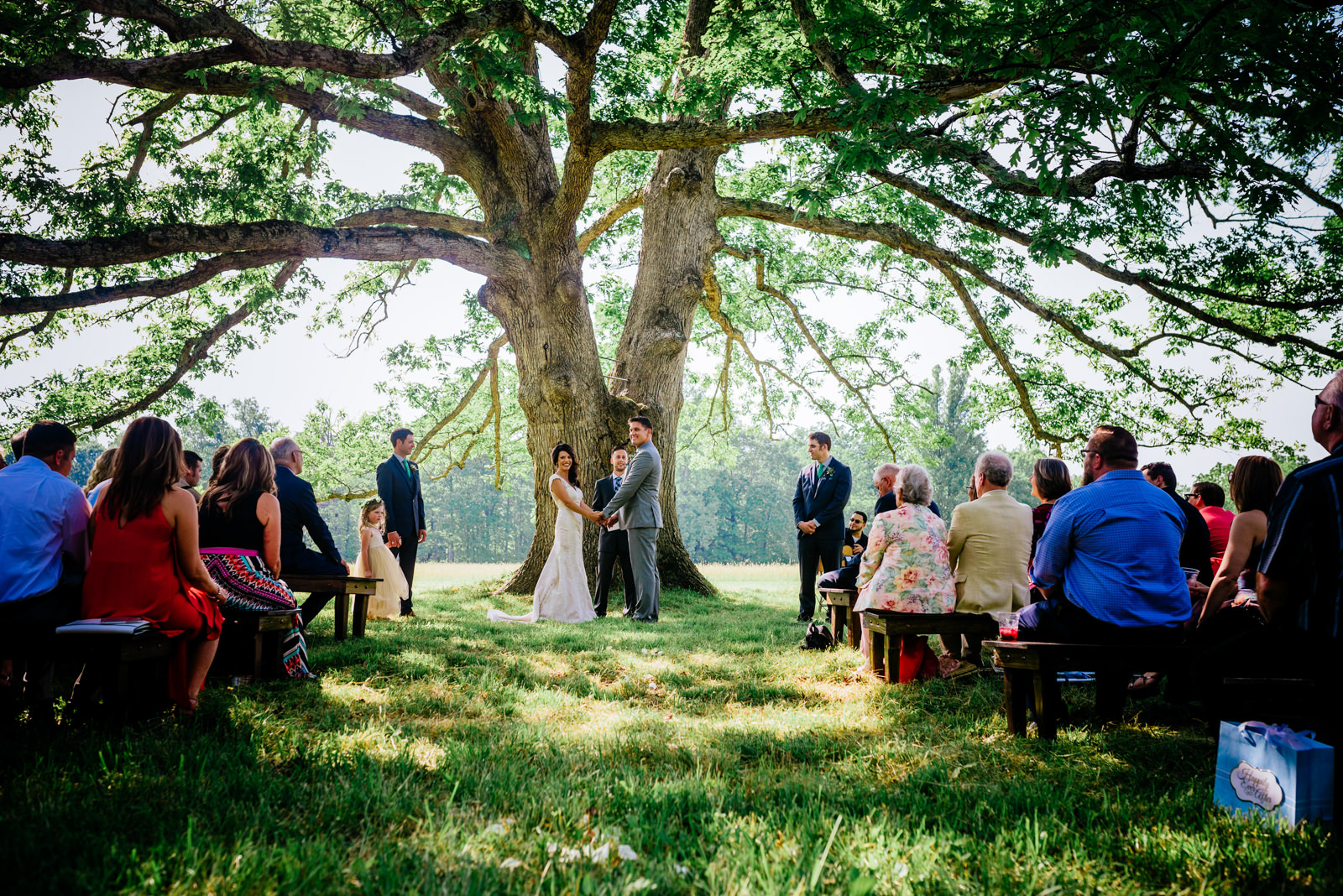 ceremony under white oak tree gaines estate fayetteville wv wedding