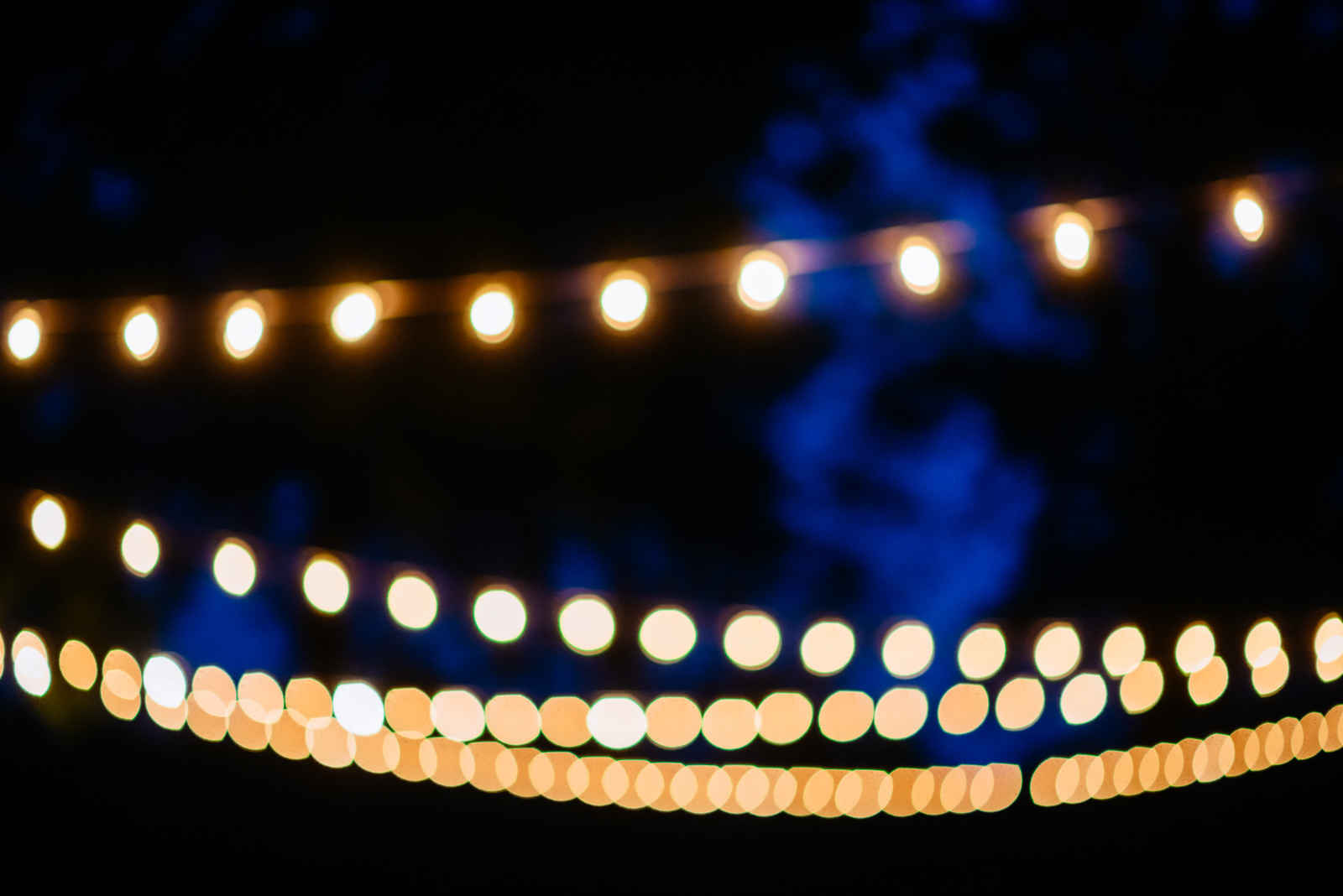 string lights wedding reception details