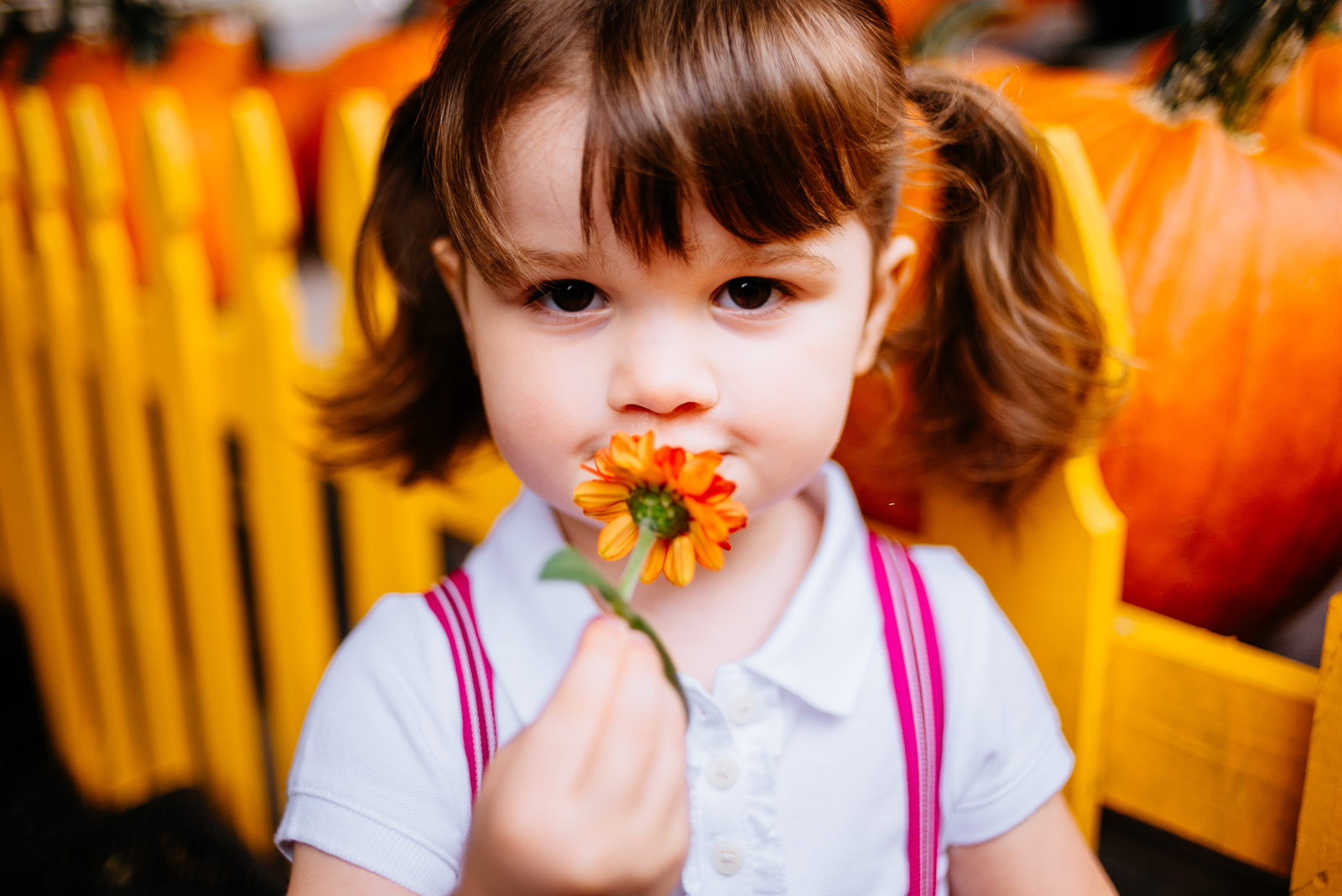 little girl smelling flower capitol market charleston wv