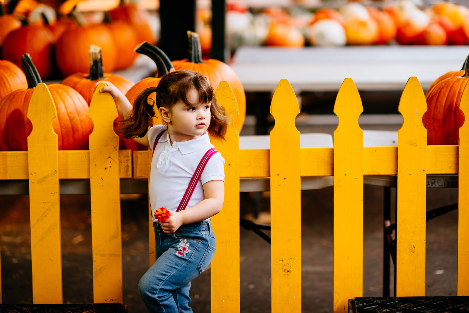kid with pumpkins capitol market charleston west virginia