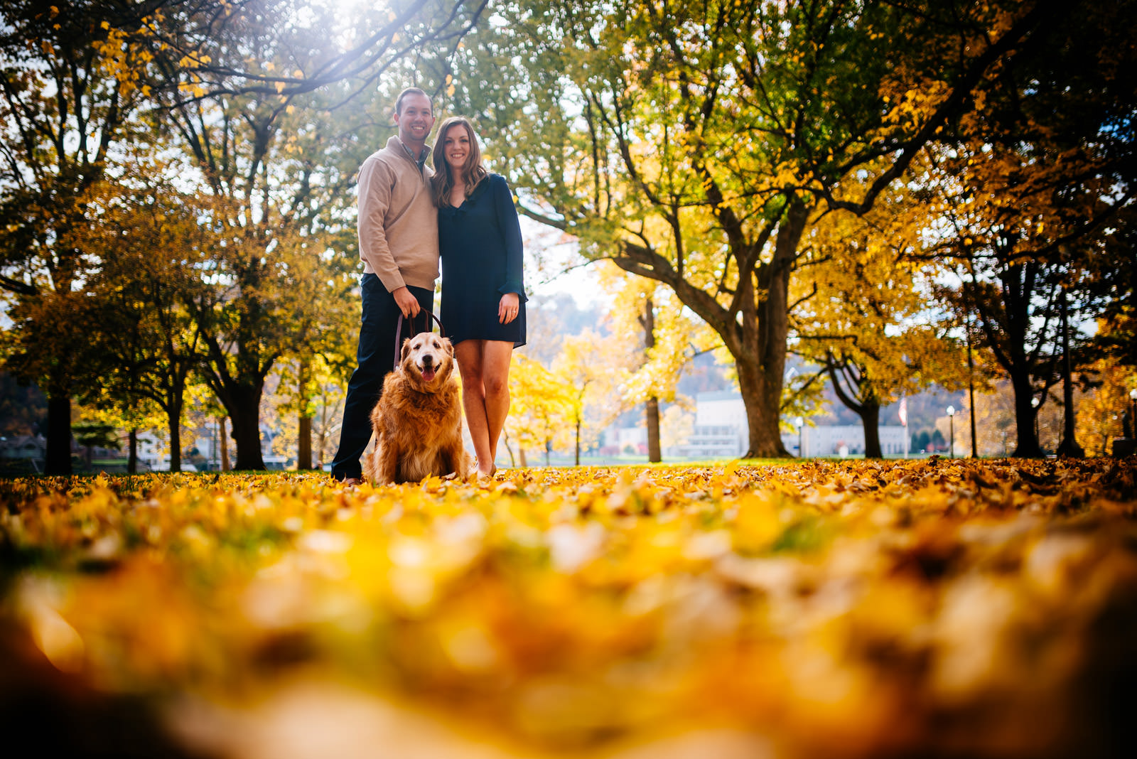 couple with goiden retriever fall charleston wv engagement session