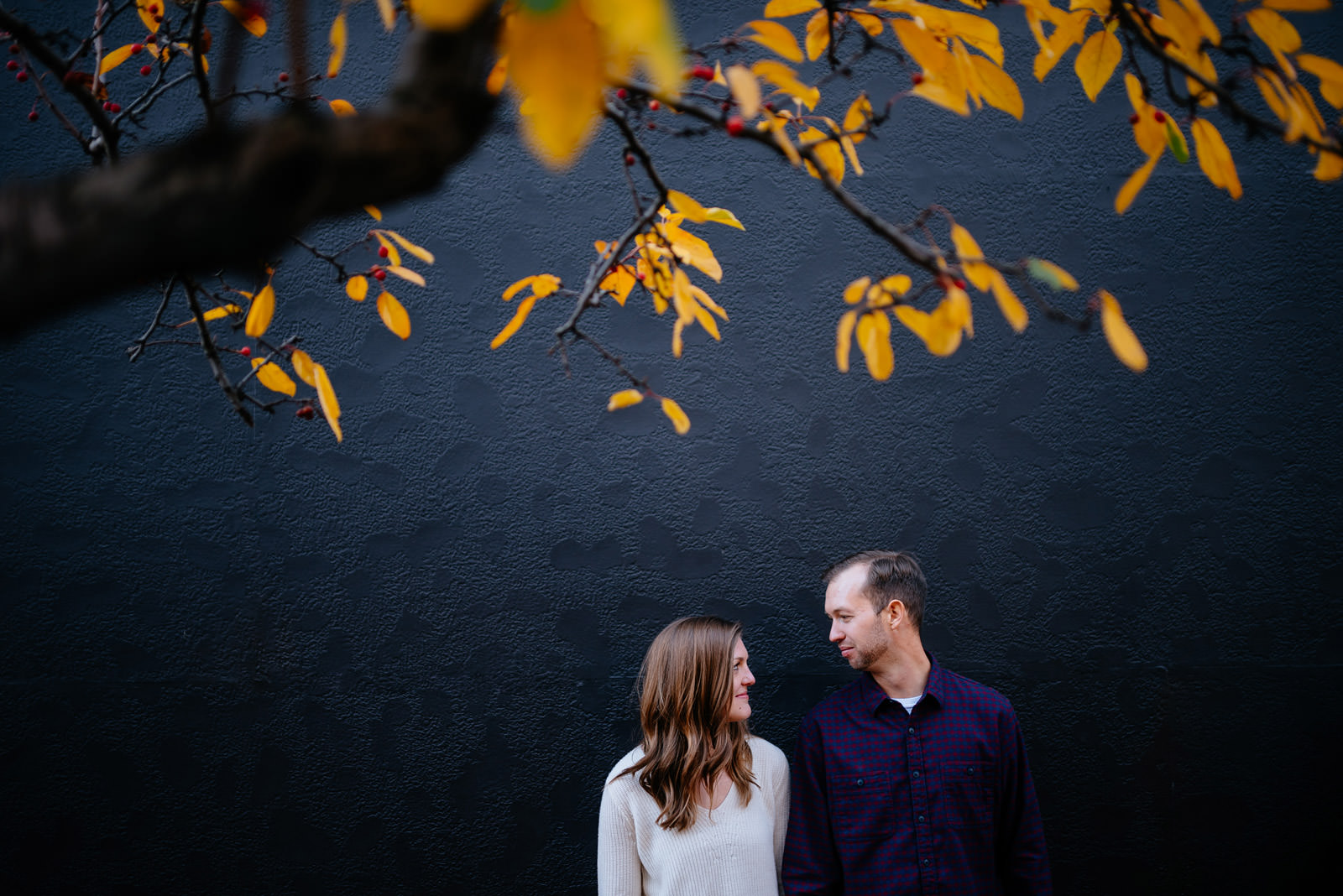 under the leaves fall charleston wv engagement session