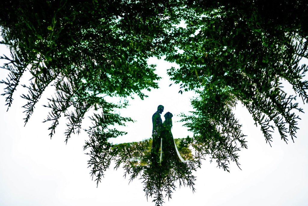 Couple silhouetted inside of a tree.