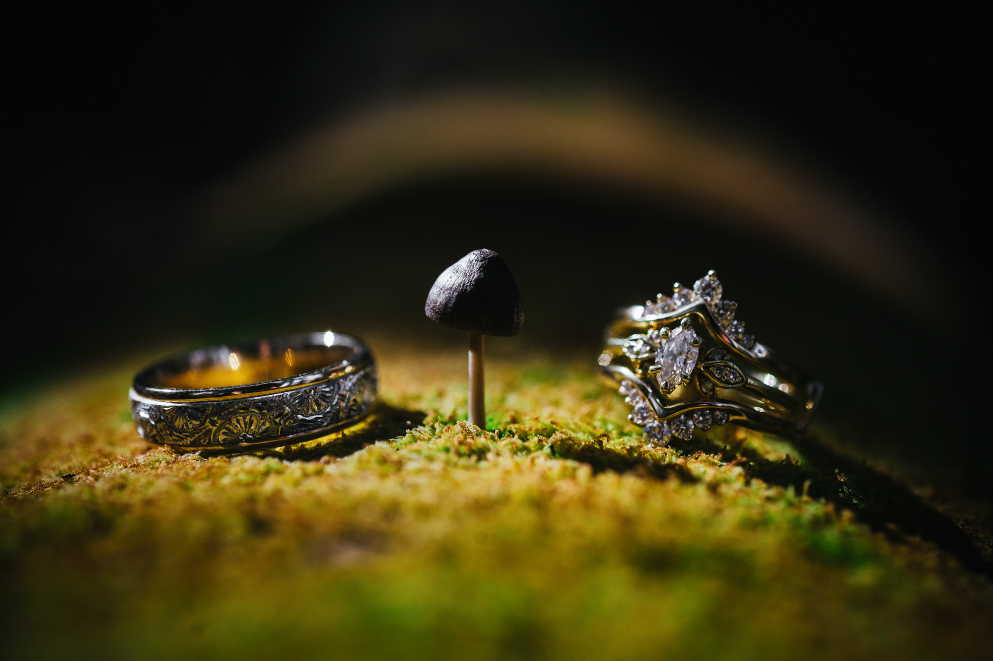 Close-up of a couple's designed wedding bands resting beside a tiny mushroom on moss.
