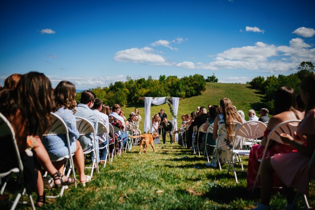 caitlyn and jason welcome their dog to celebrate during batten green wedding