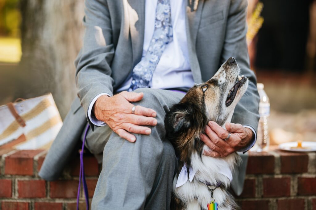 a cute dog getting pets at a wedding