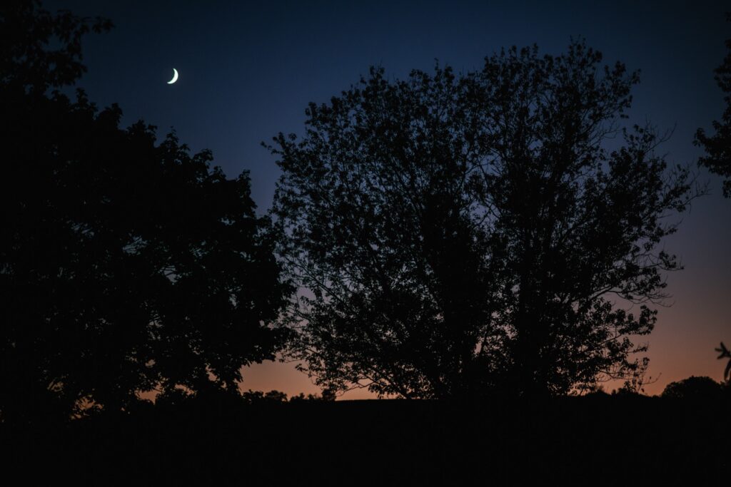 the moon shines in the sky at night
