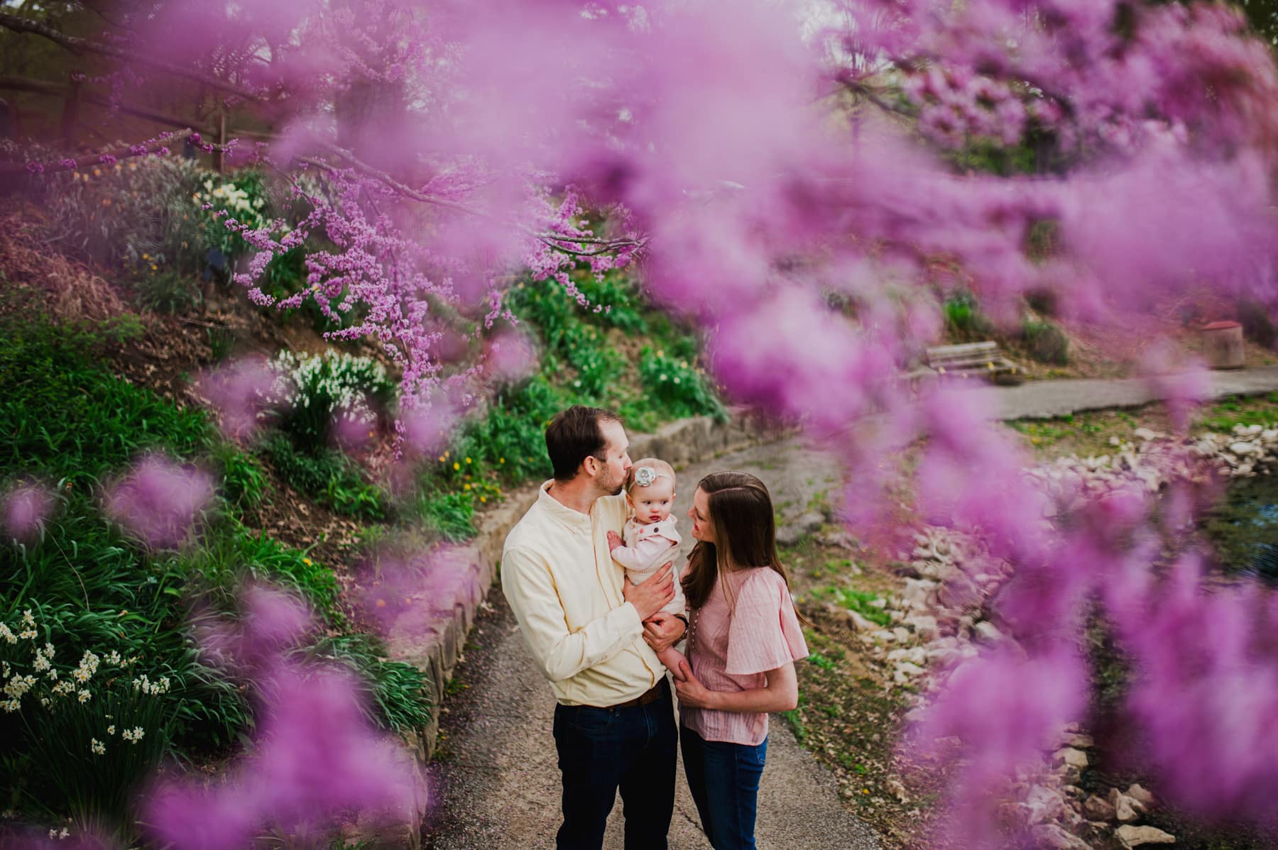 dad kisses baby on head under purple tree at coonskin park in charleston wv