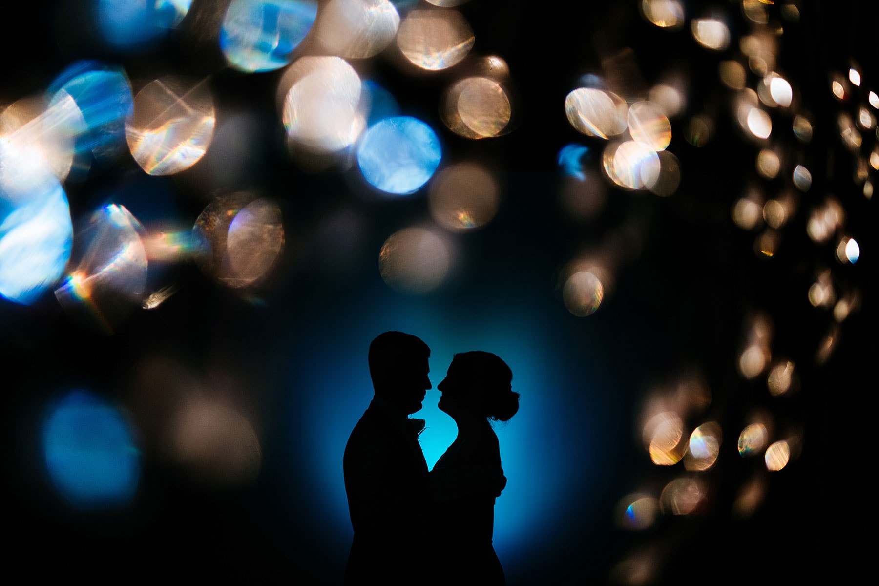 silhouette wedding portrait
