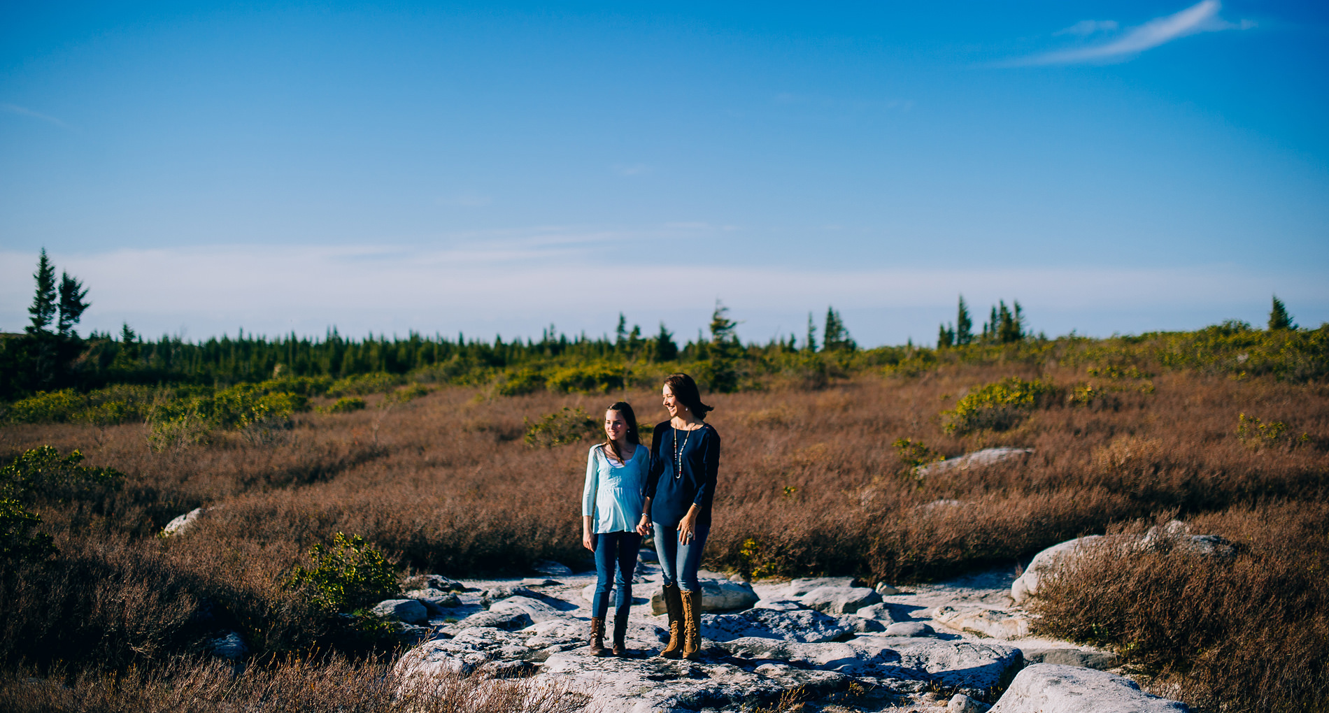 scenic portraits in west virginia dolly sods wilderness