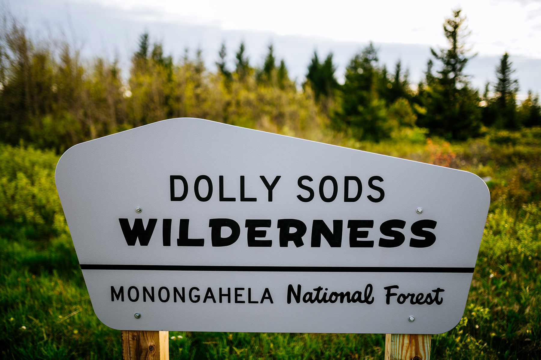 dolly sods wilderness sign