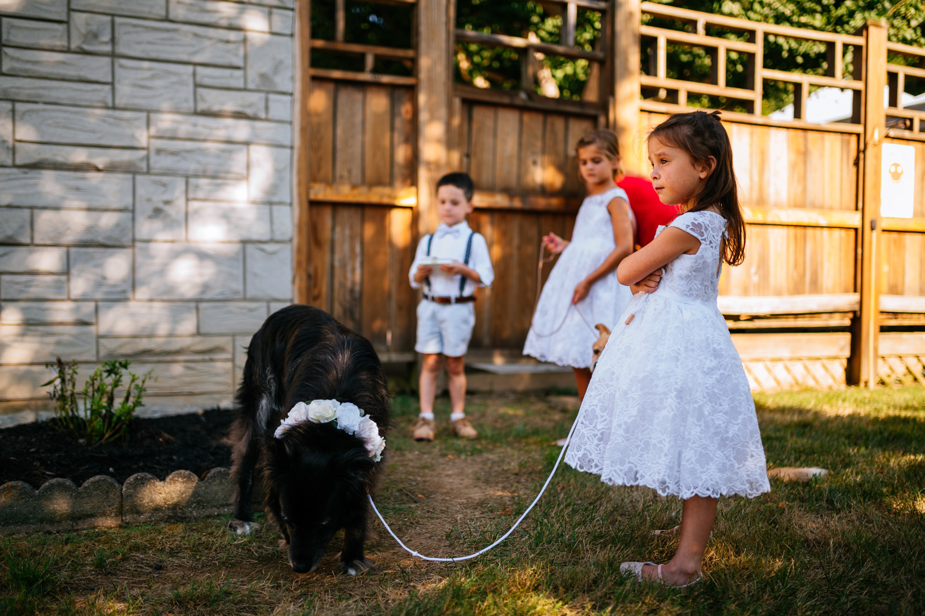 little girl with wedding dogs